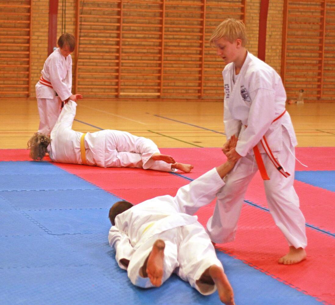 Img 9478