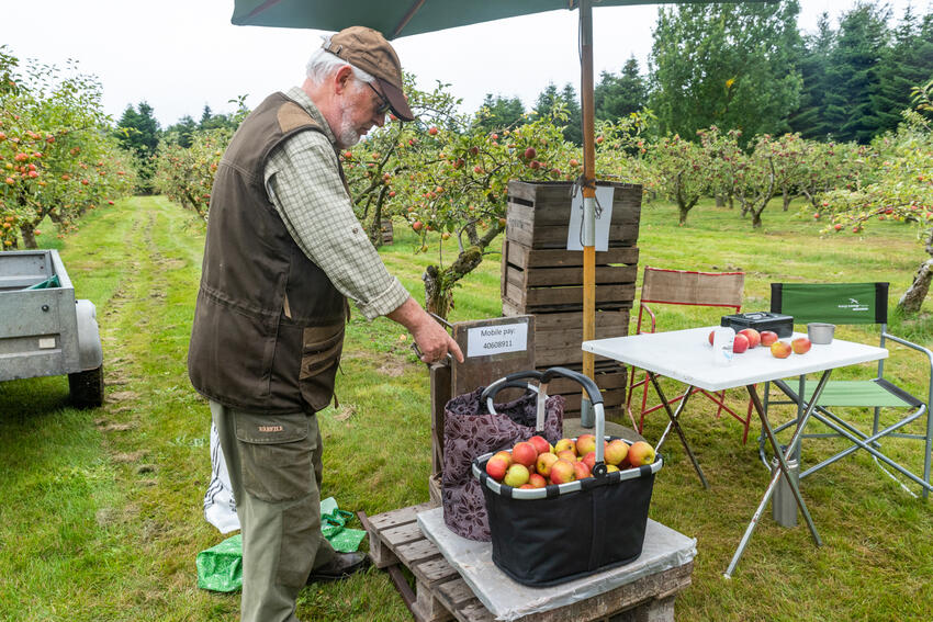 Karsten inviterer til pluk-selv i Brigsted