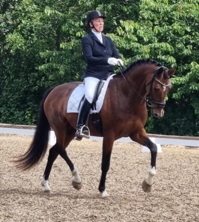 Edelgårdens Rideklub kom hjem med fine resultater