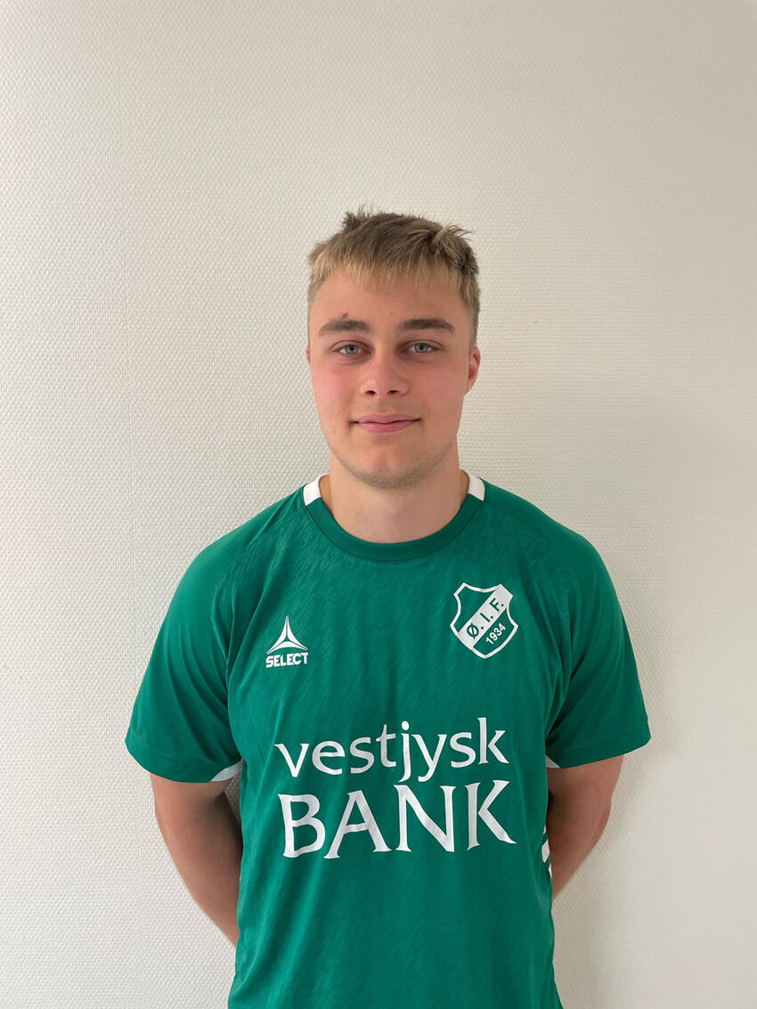 Serie 4 Østbirk-Aale