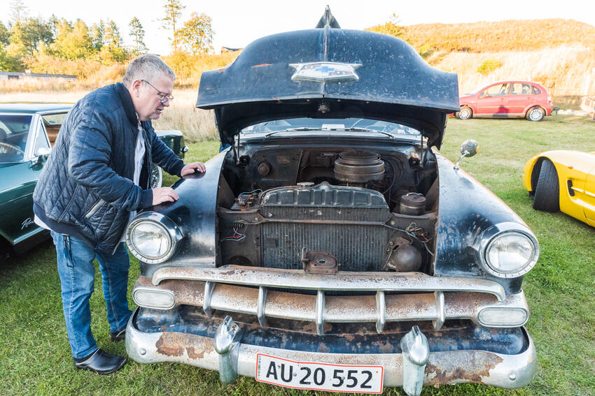 Veteraner og en enkelt filmstjerne
