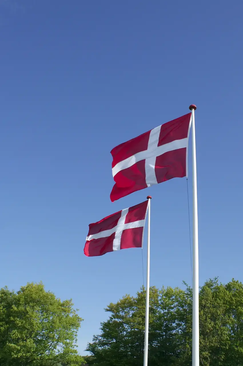Fejring af Grundlovsdag i Bygholm Park: En dag i demokratiets tegn