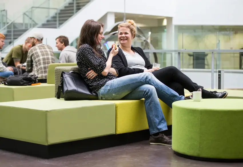 Mange ledige studiepladser igen i år