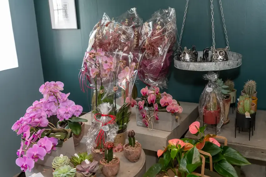 Mini-Musen: Blomstermagi og Maileg i Åes
