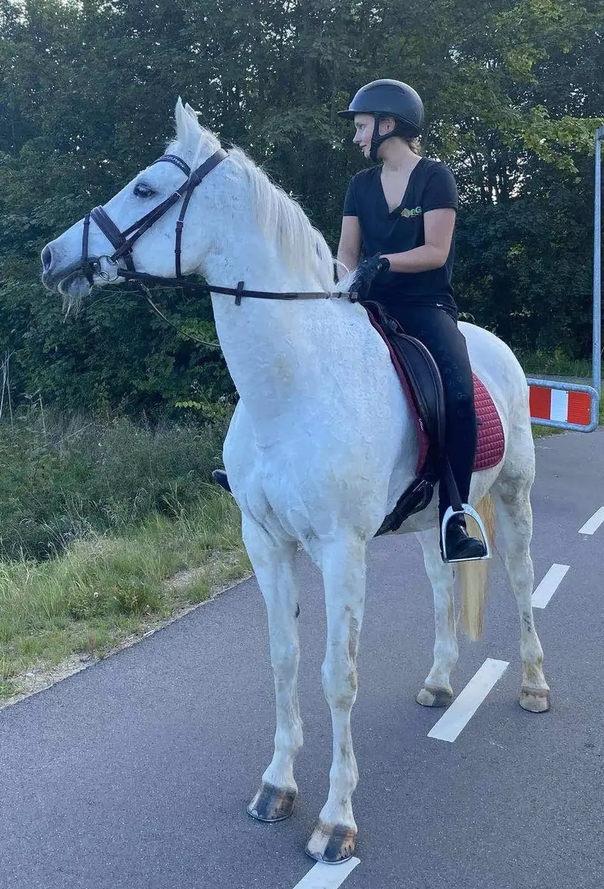 Molger Rideklub udvider på flere fronter