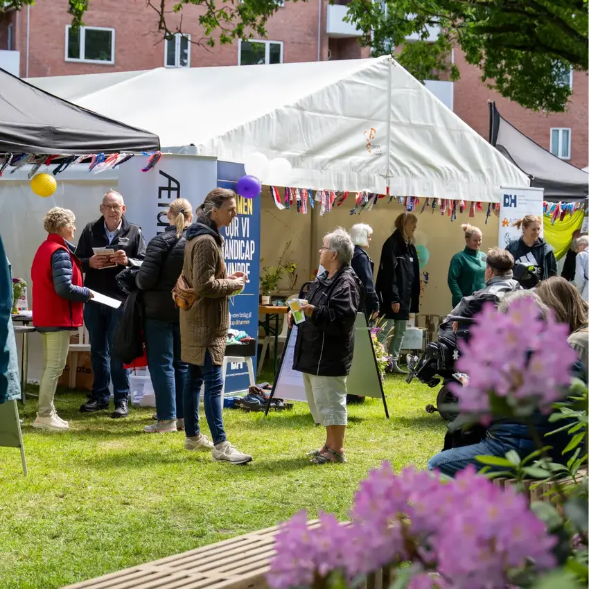 AlderBedst i Horsens: Hvor grin og gensyn blomstrer på Grundlovsdag