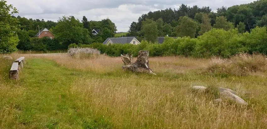Gantrup Vild med vilje