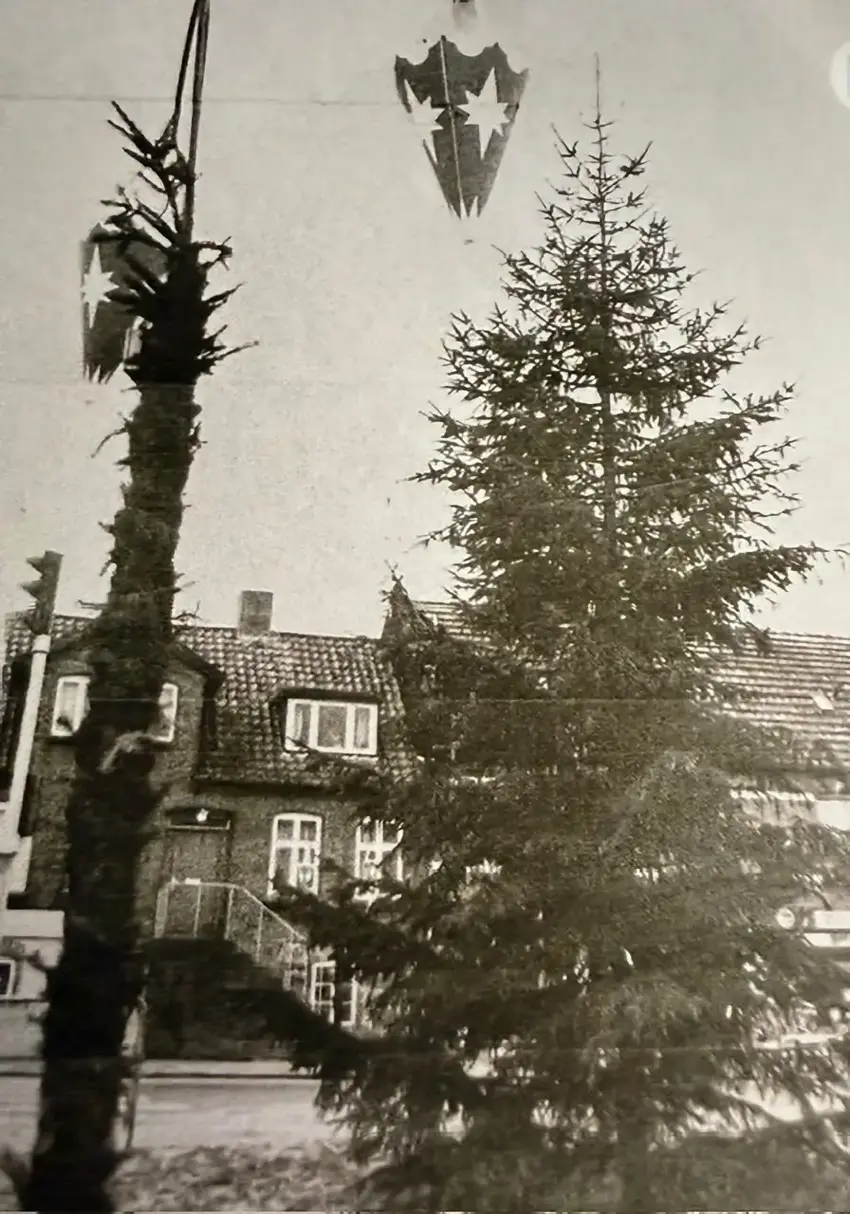 Juletræ i Østbirk