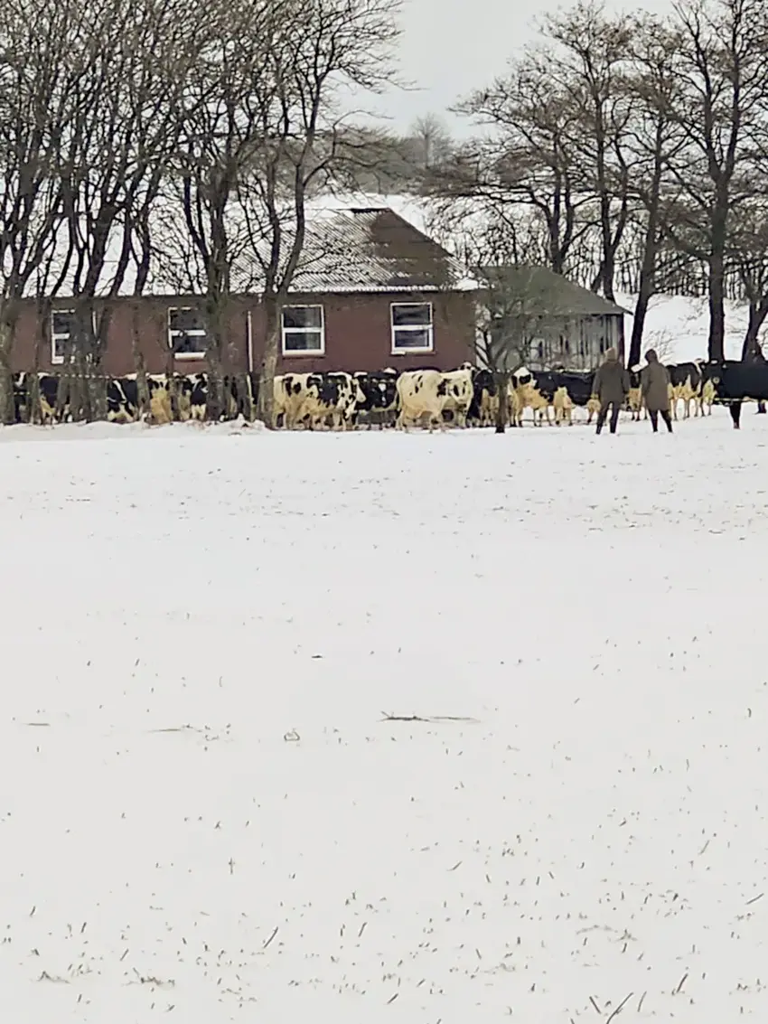 Gårdbrand Østbirk