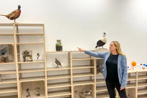 En ny og bedre Gedved Skole rejser sig af asken
