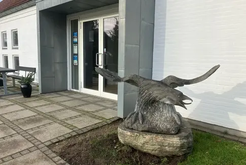 Havørnen har slået sig ned