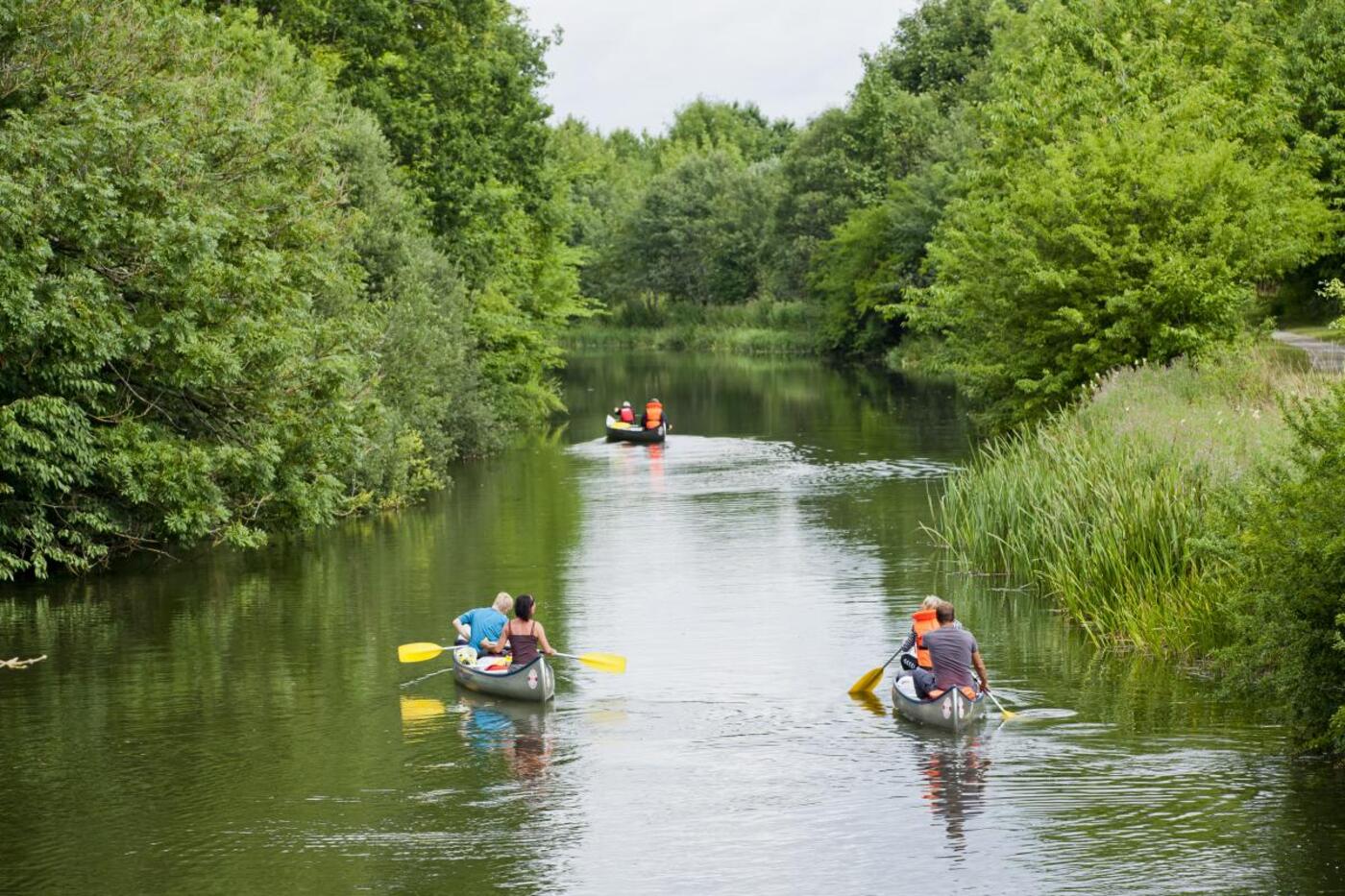 Billede fra Østjysk Nærravis