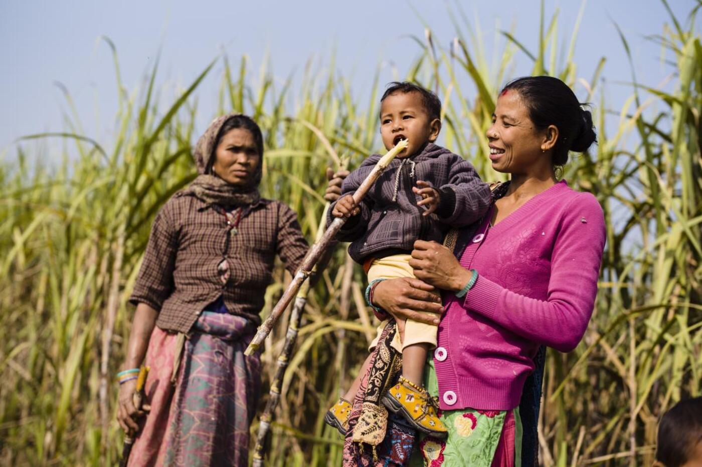 D0159f a4b9 4b24 a748 d6eeab26f008