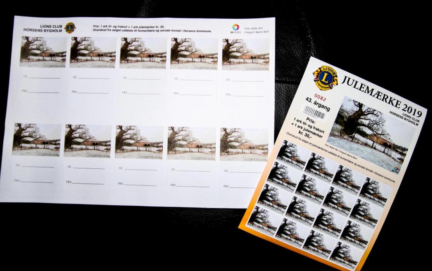 Lions club horsens bygholm img 8422