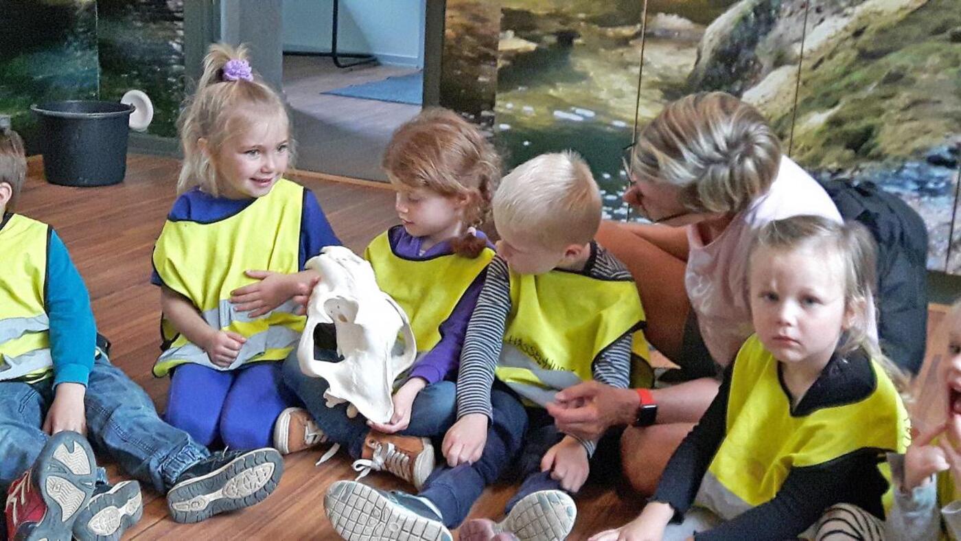 856926647806834 2542718343952558839 o