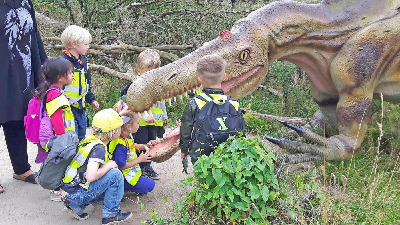 856921801140652 295278273496127677 o