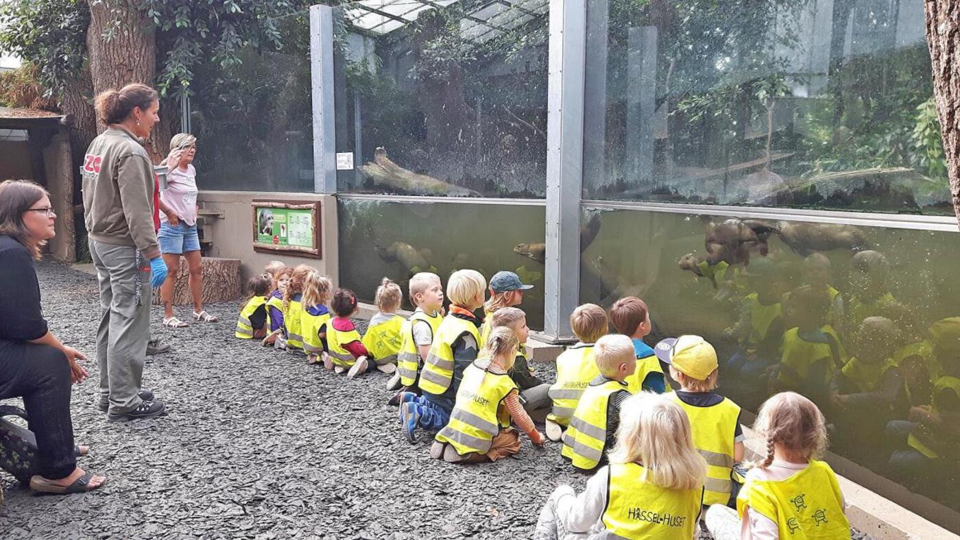 856928621139970 5550638895274866062 o