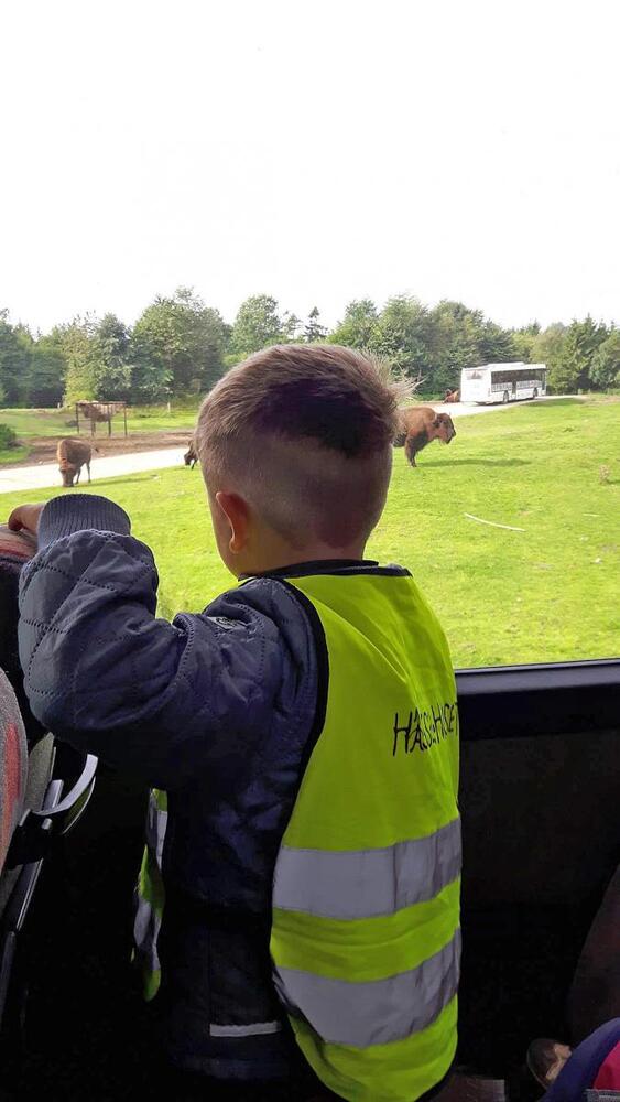 856917487807750 5665389946823217600 o