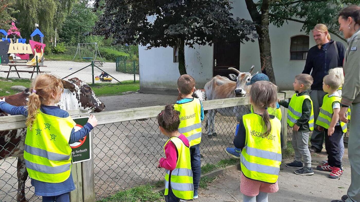 856928027806696 6675805406045884453 o