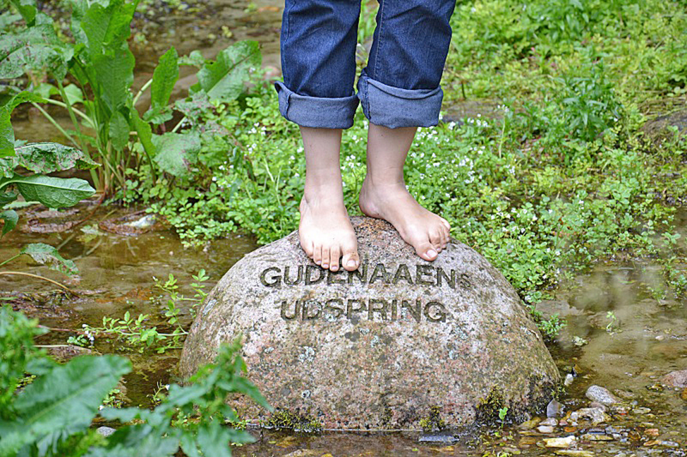 Billede fra Østjysk Nærravis