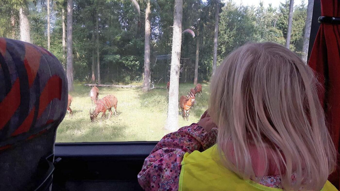 856918237807675 5628097716631322646 o