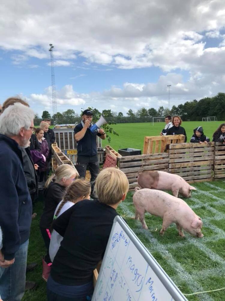 10156046483712933 7131184950329475072 n