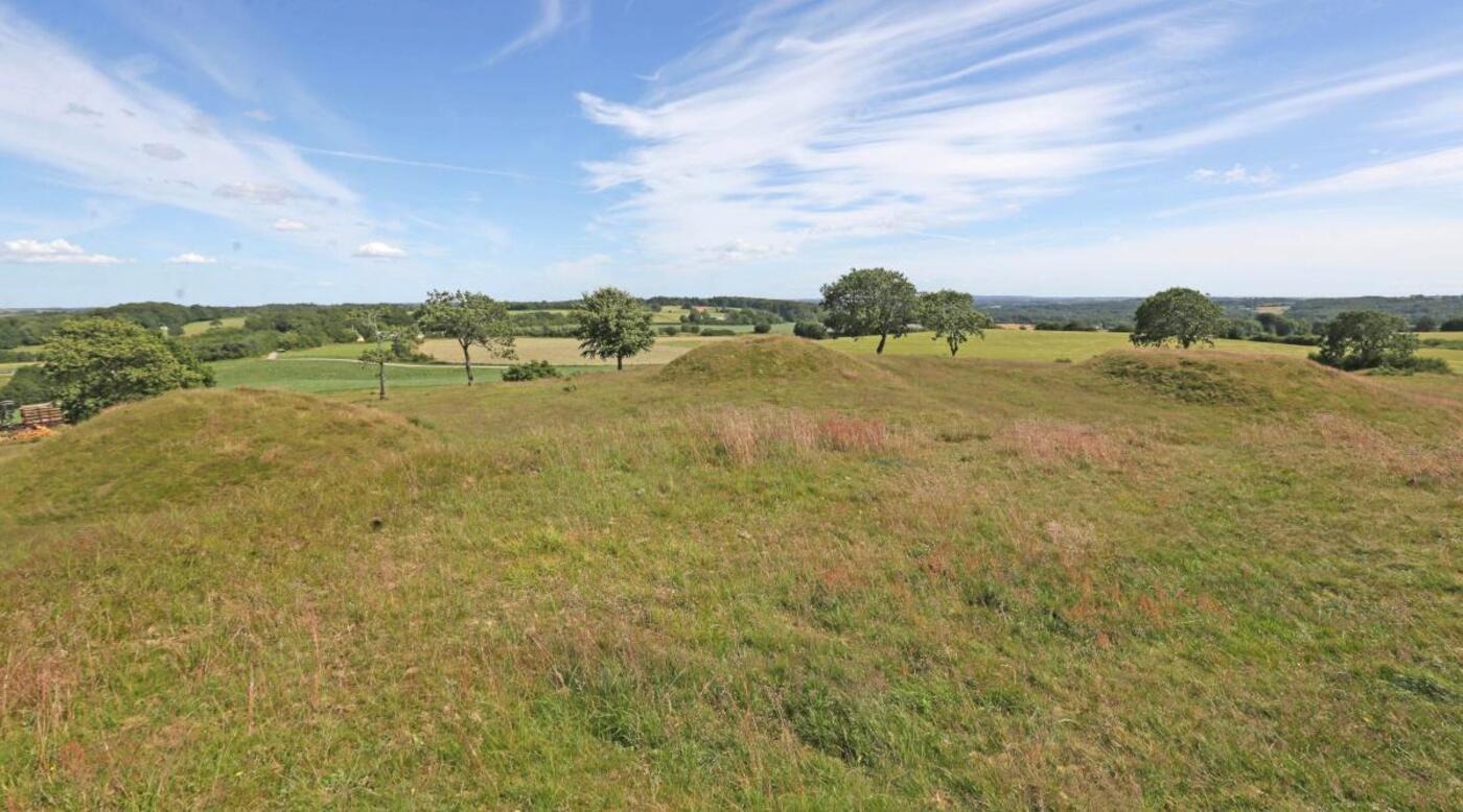 Bb7ae rasmus tryg 2 9351