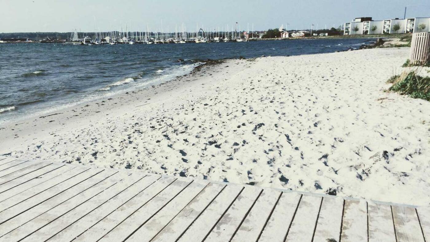 E495 strandbred p langelinie