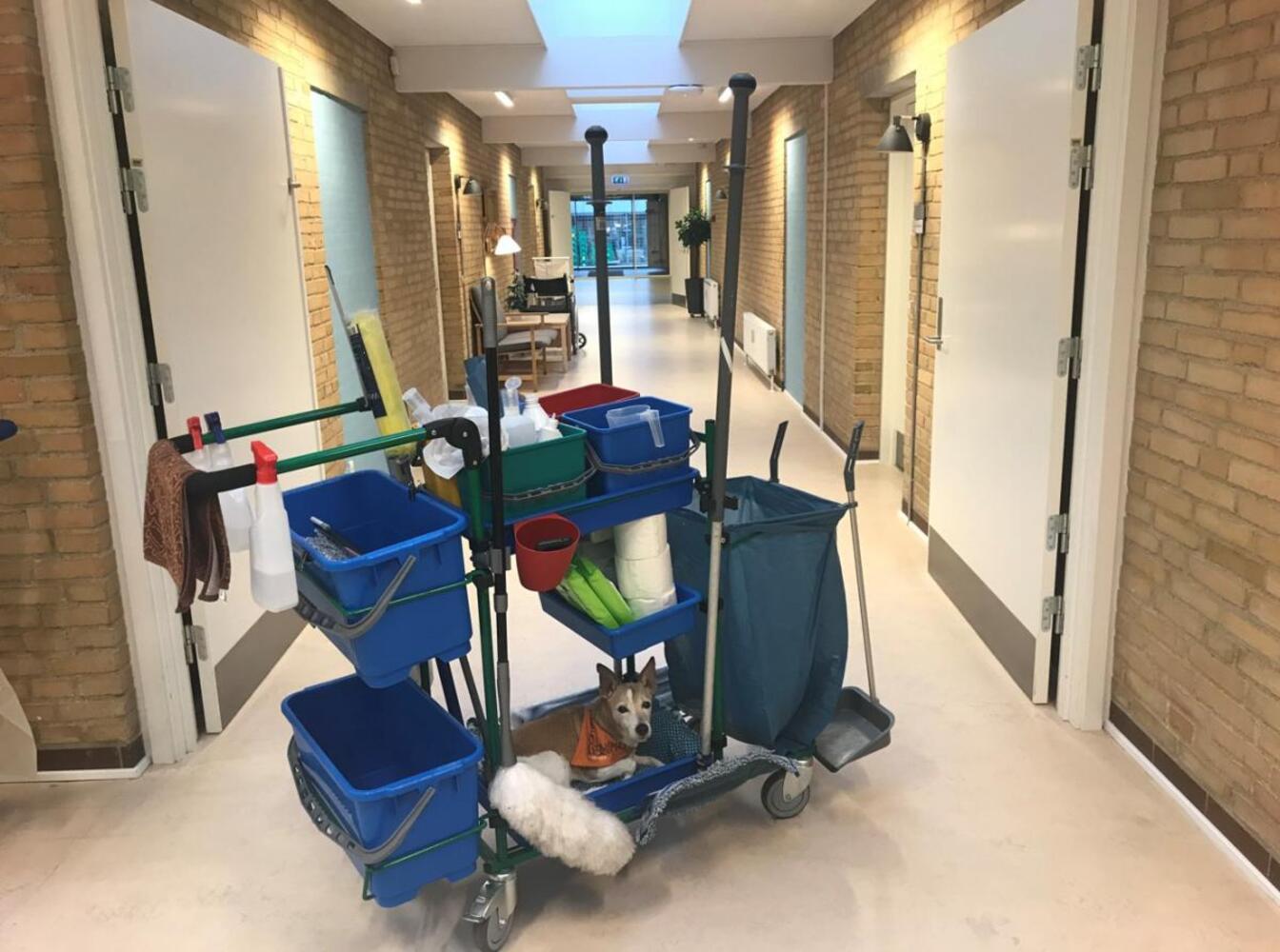 Bobs i rengringsvogn