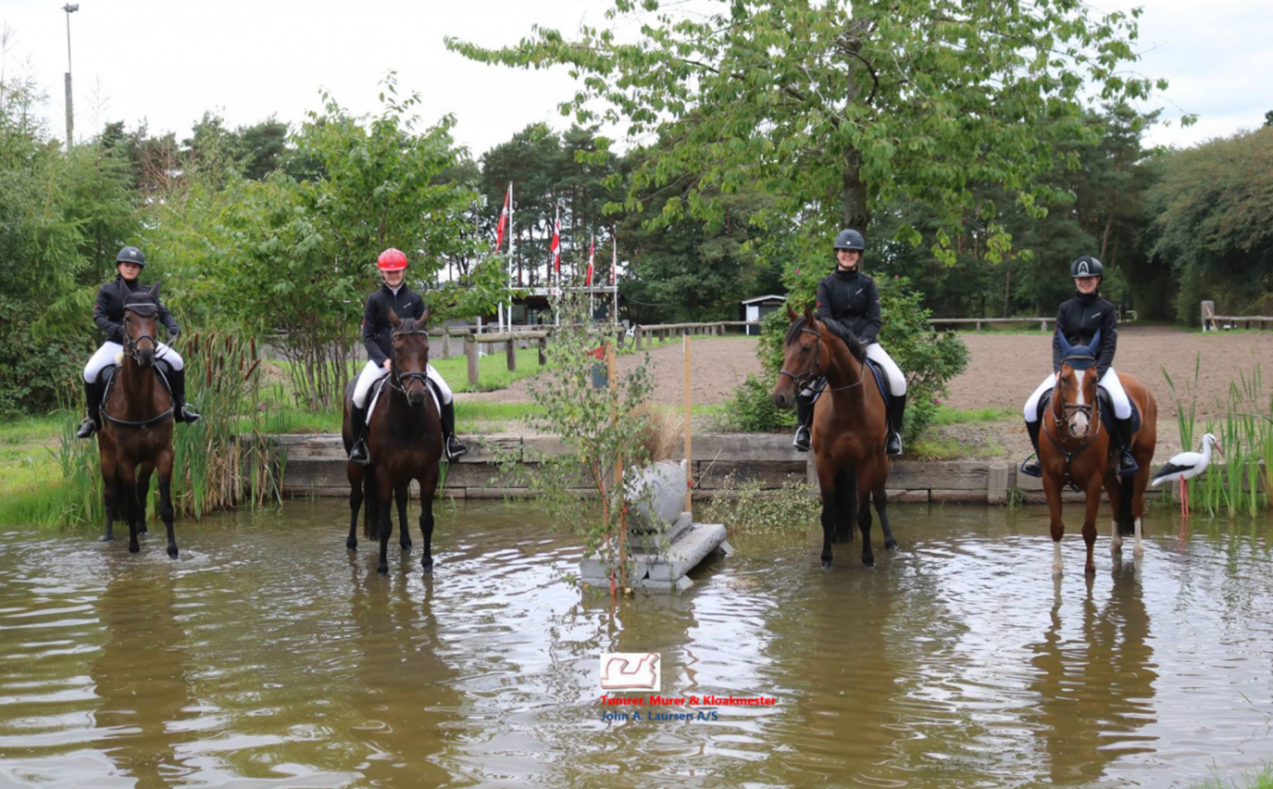 Der sponsor billede 2