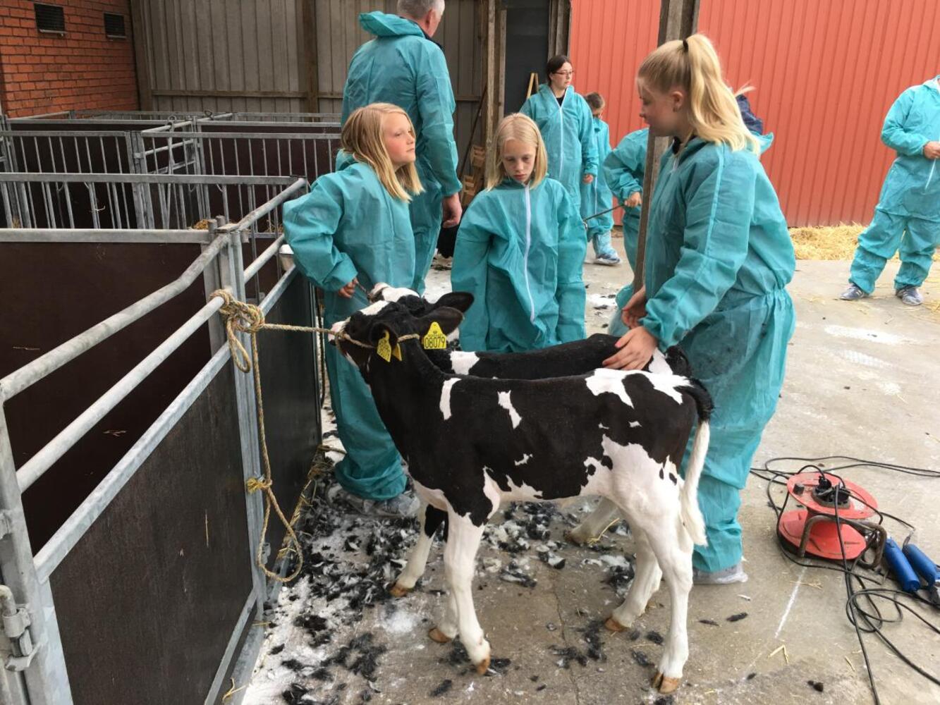 Dyrskuet forberedes 18.05.18