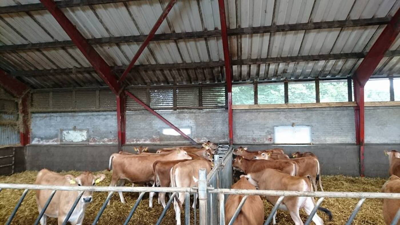 Ejer moellegaard facebookside2