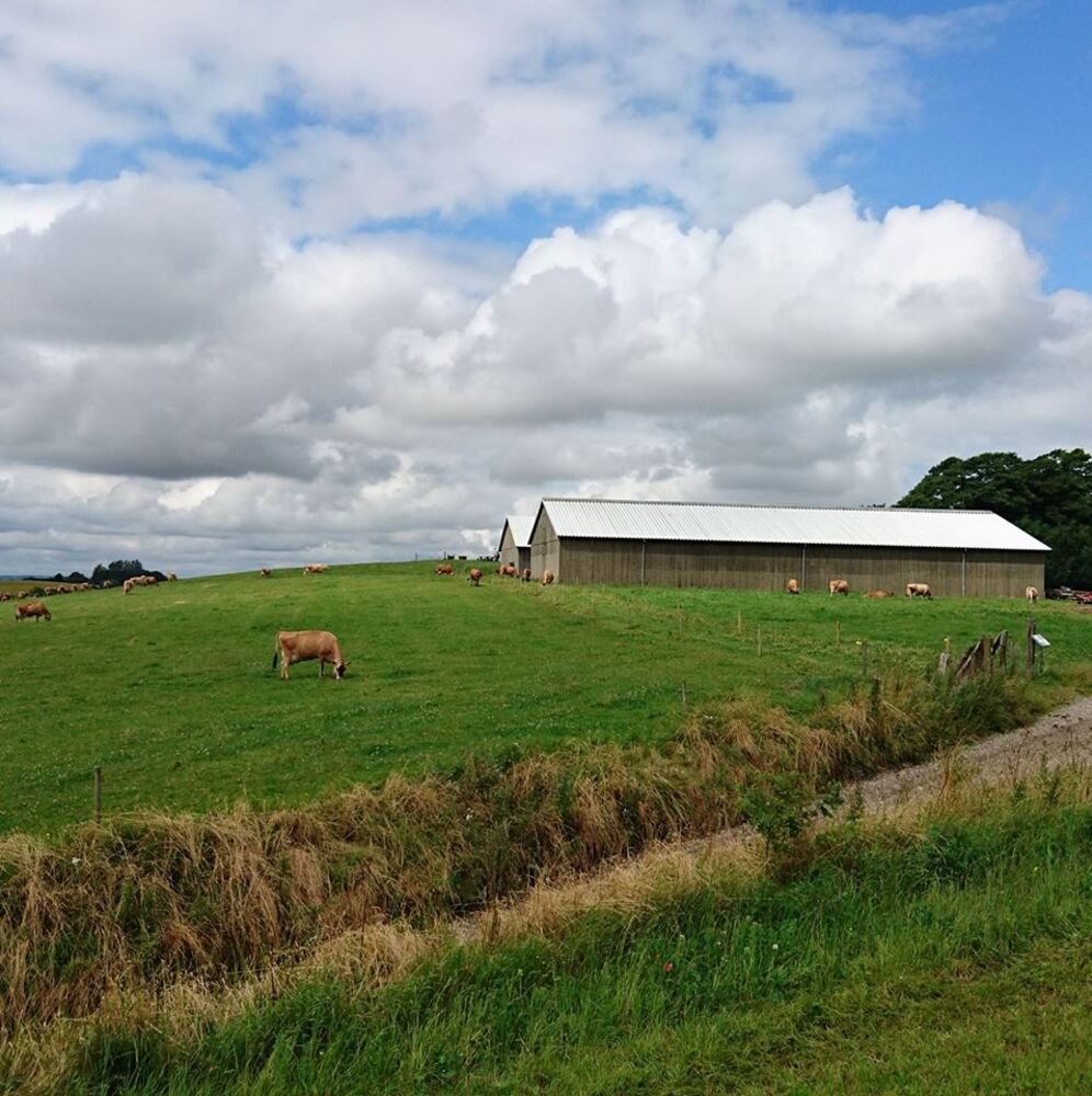 Ejer moellegaard facebookside