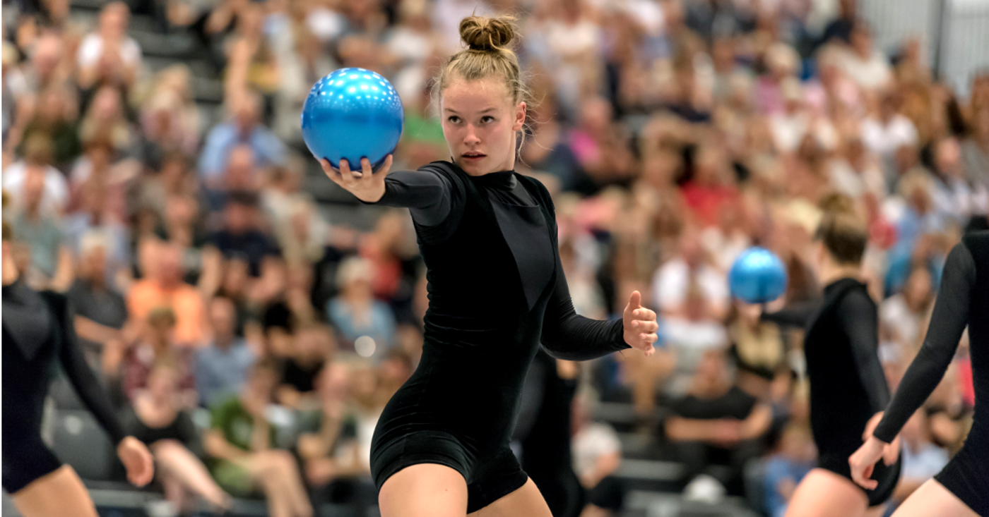 Fb dgi verdensholdet gymnastik