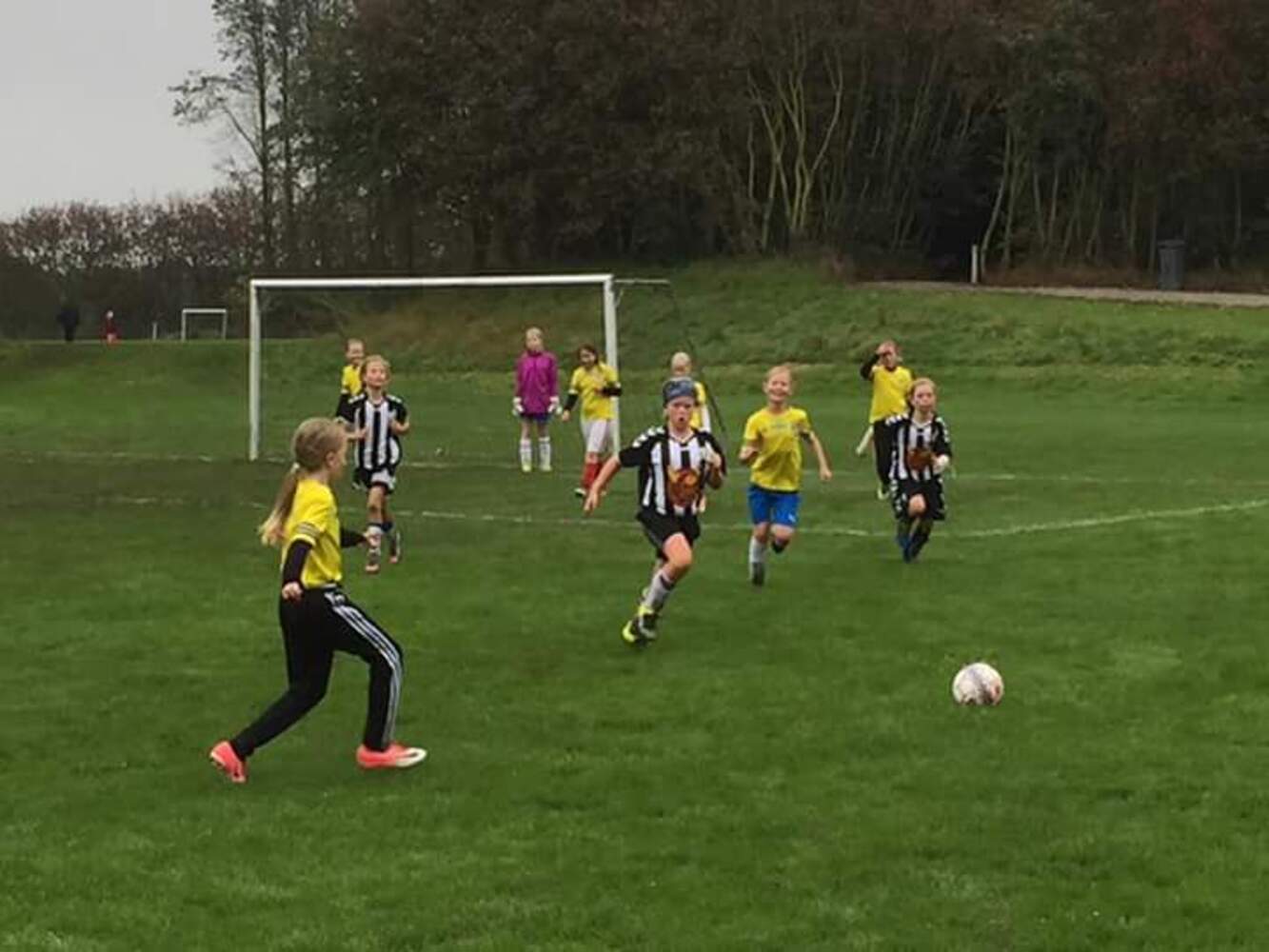 Fb img 1505558596547