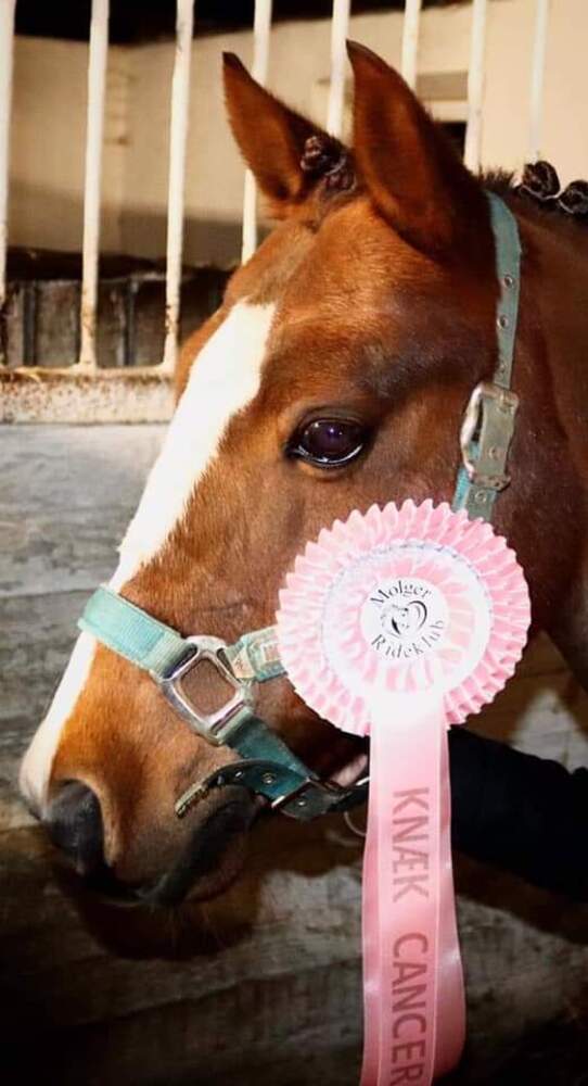 Fb img 1572198729339