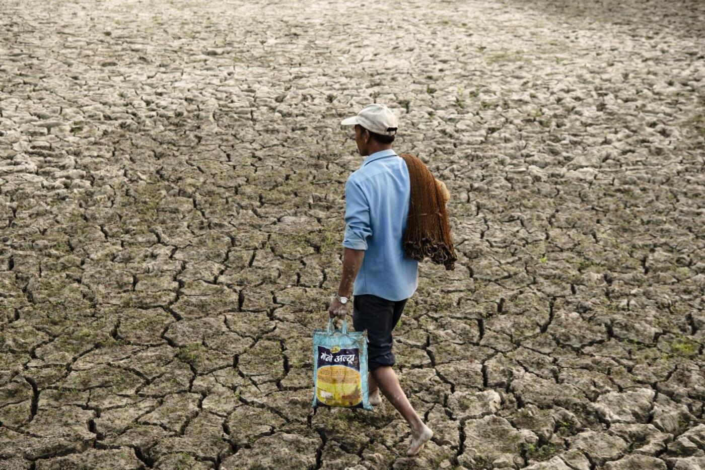 Fisker i udtoerret soe