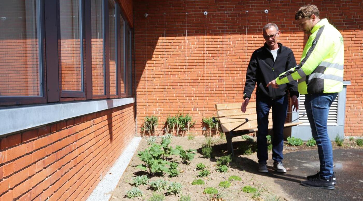 Henrik og peter 1256