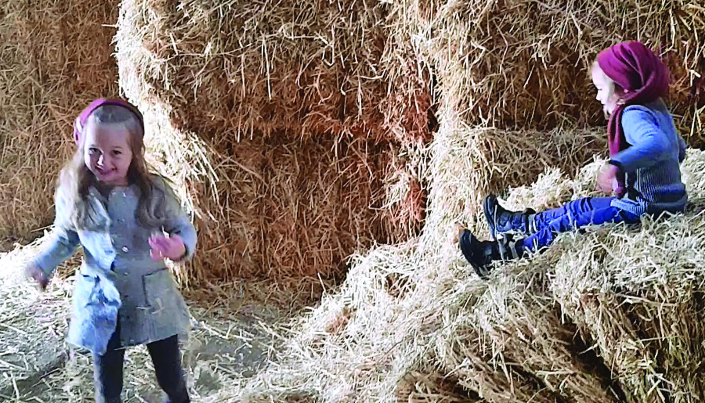 Hjaelpenisser rutcher