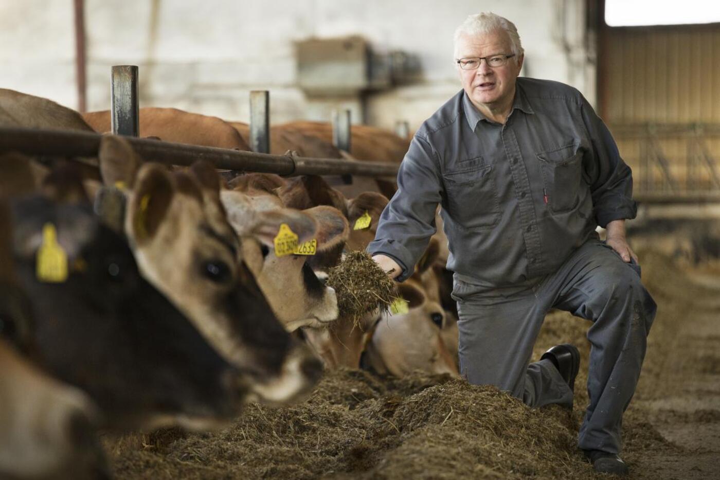 Holger hedelund poulsen 545