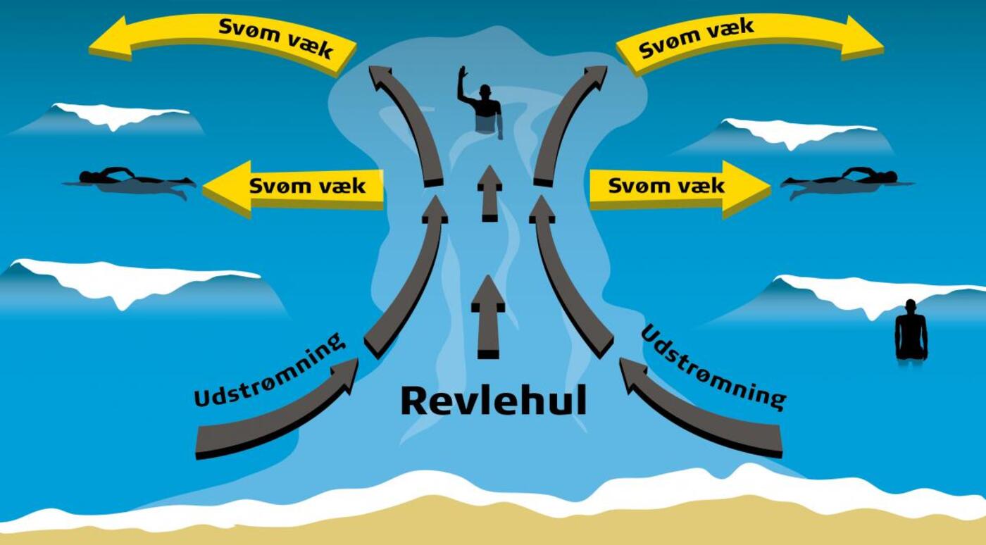 Illustration af revlehul