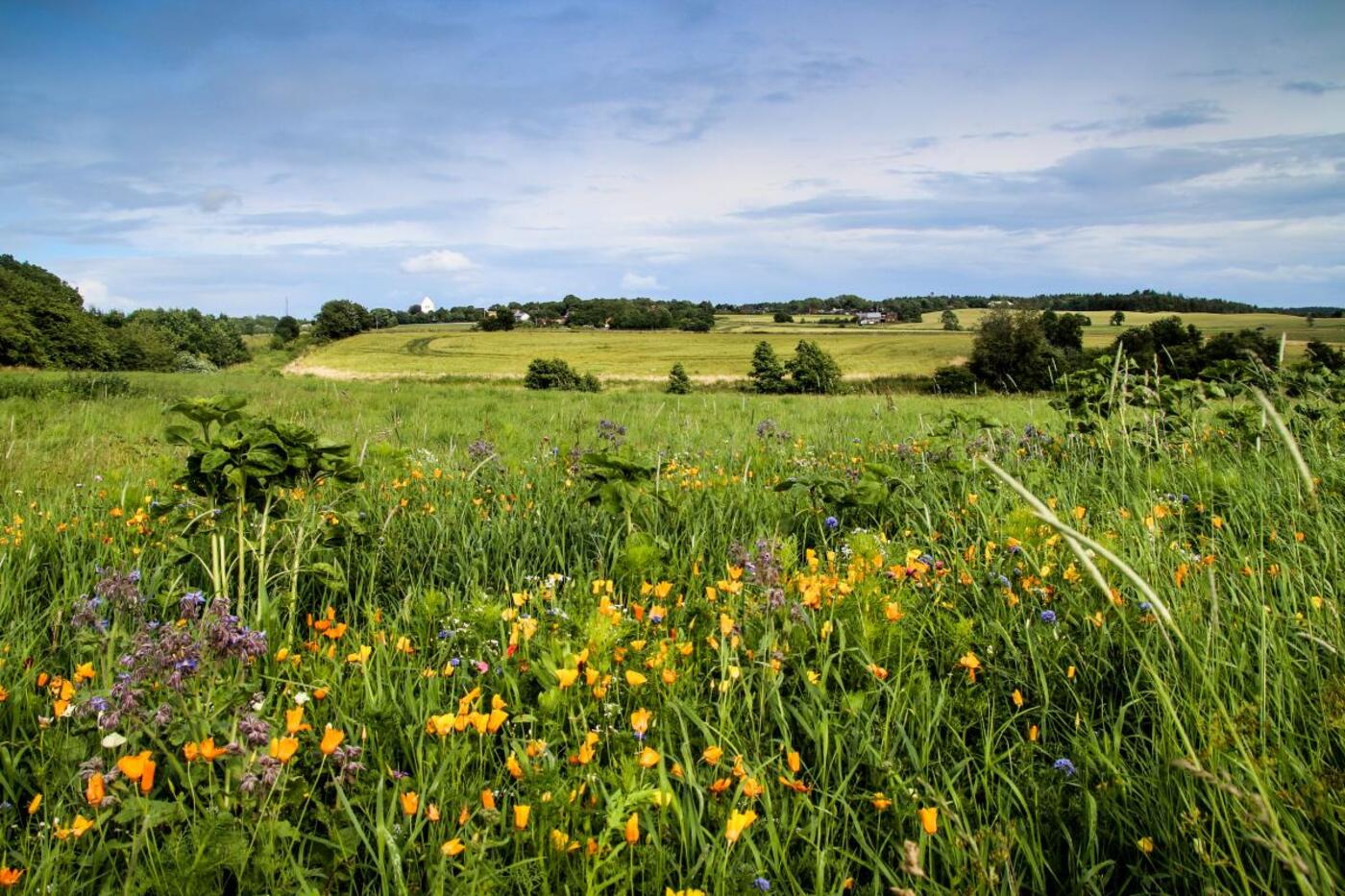 Kystlandet banestien odder horsens melissa villumsen 2020 2