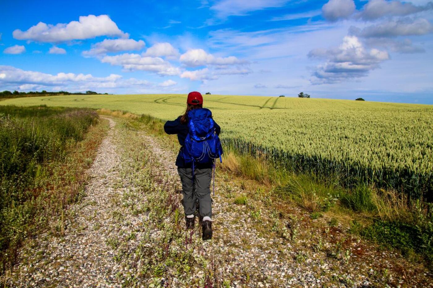Kystlandet banestien odder horsens melissa villumsen 2020 3