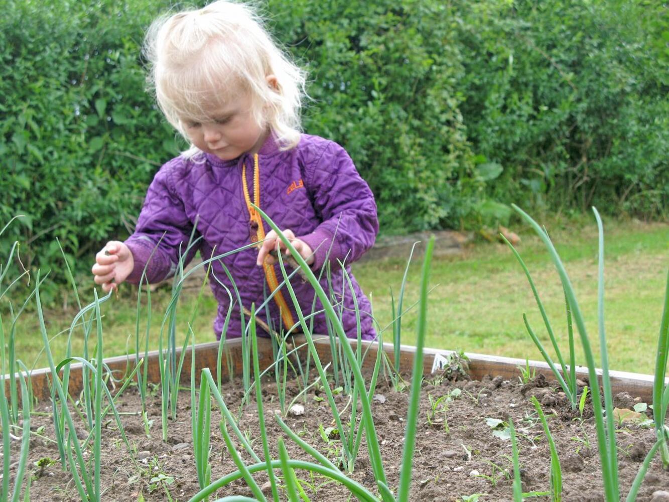 Privat bondegaards dagpleje 7