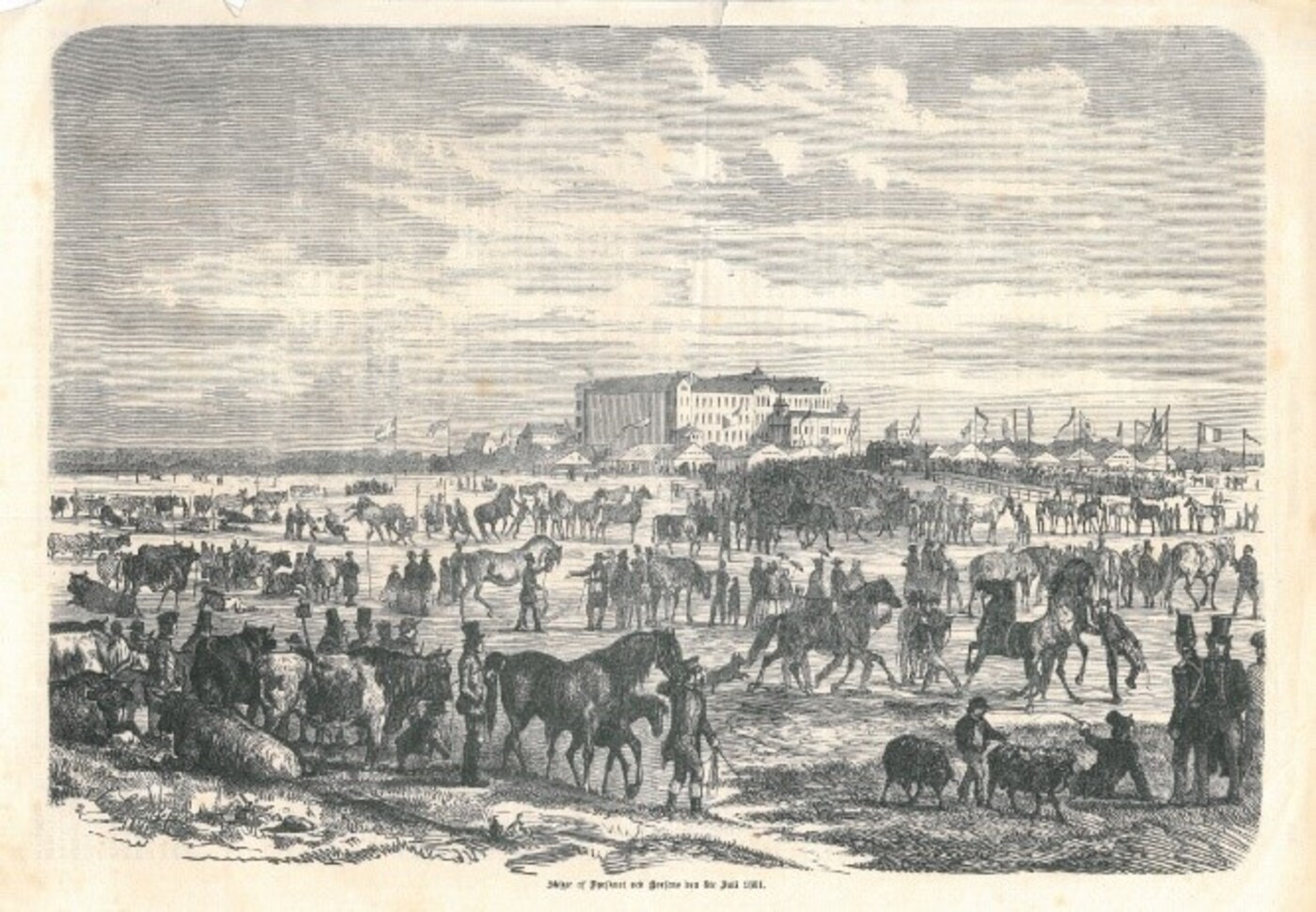 Skitse horsensdyrskue 1861 2