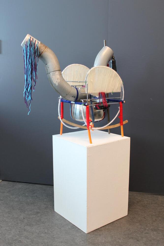 Stakkels svane du bliver kogt