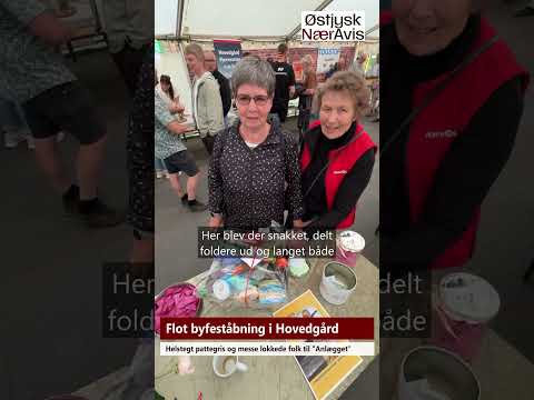 Preview image for the video "To pattegrise satte gang i byfesten".