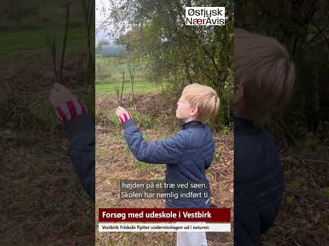 Preview image for the video "Udeskole i Vestbirk".