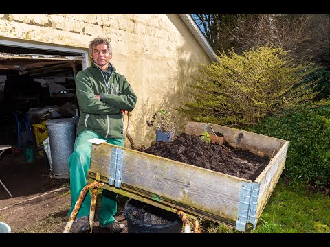 Preview image for the video "Peter varsler forårets komme".