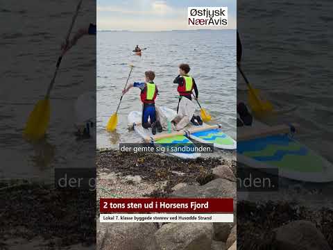 Preview image for the video "Næsten to tons sten ud i fjorden".